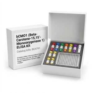 BCMO1 ELISA Kit Beta-Carotene 15,15-Monooxygenase 1 96 Tests