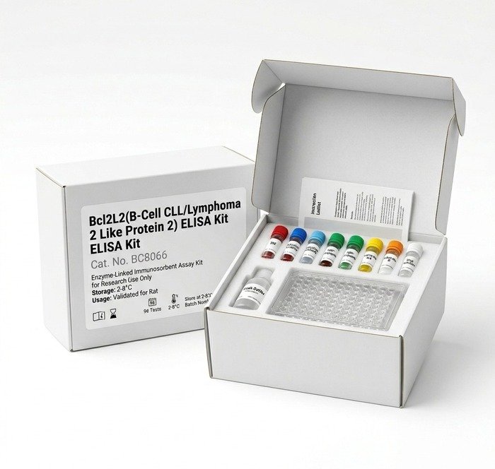 Bcl2L2 ELISA Kit for Rat (BC8066) - 96 Test
