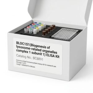 Mouse BLOC1S1 ELISA Kit 96 Tests