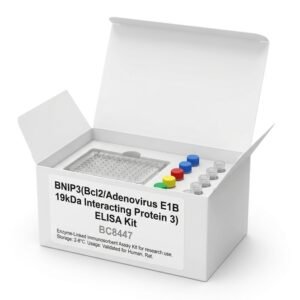 BNIP3 ELISA Kit - Human and Rat 96 Test Assay