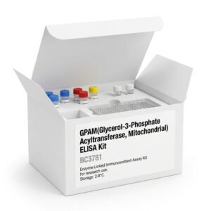 GPAM ELISA Kit BC3781 Mitochondrial Acyltransferase Assay