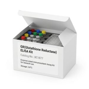 BC1877 Glutathione Reductase ELISA Kit 96 Test