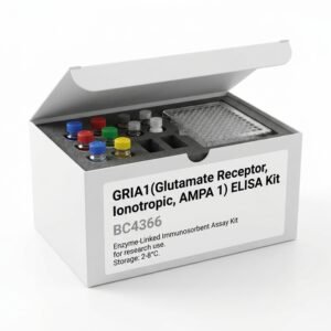 GRIA1 ELISA Kit 96 Test - High Sensitivity Assay