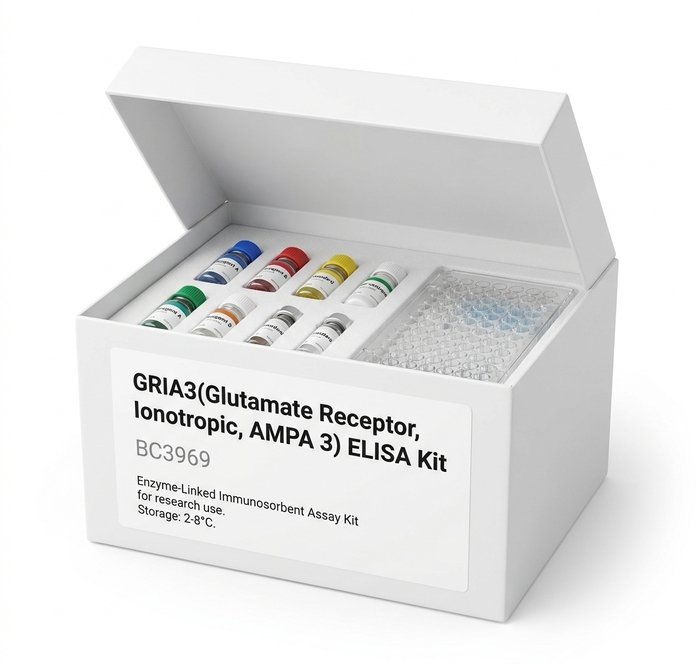 GRIA3 ELISA Kit Human Mouse 96 Tests