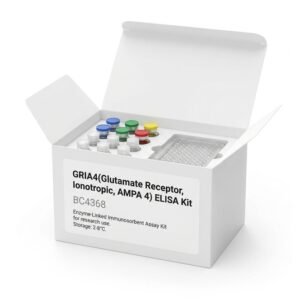 GRIA4 ELISA Kit 96 Test Human Mouse Reactivity