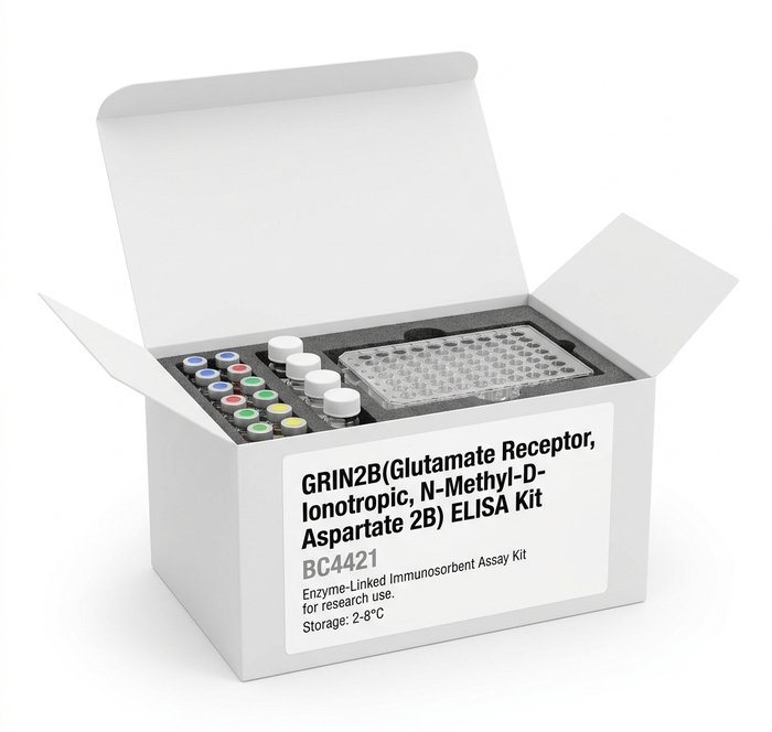 GRIN2B ELISA Kit - High Sensitivity Assay (96 Test) BC4421