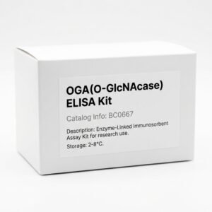 Mouse OGA O-GlcNAcase ELISA Kit 96 Test BC0667
