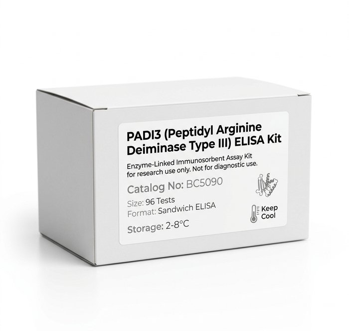 PADI3 ELISA Kit Human Mouse 96 Tests BC5090