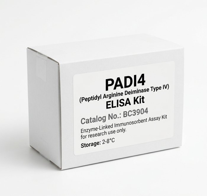 BC3904 PADI4 ELISA Kit for Human and Mouse