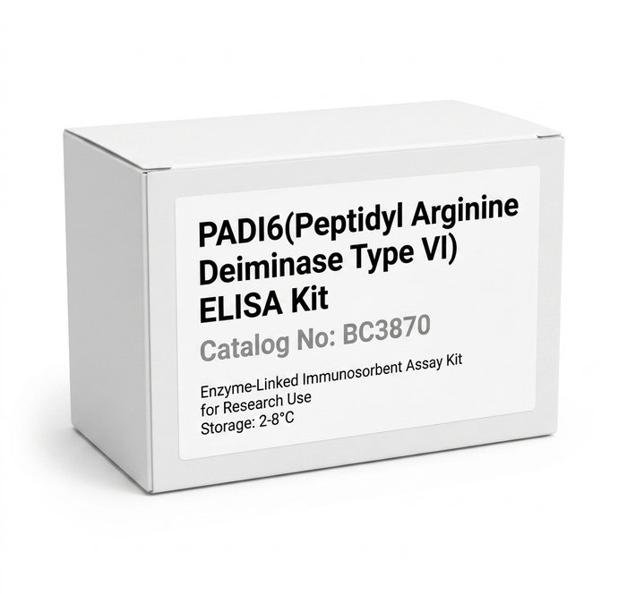 PADI6 ELISA Kit - Human and Mouse Specific - 96 Test