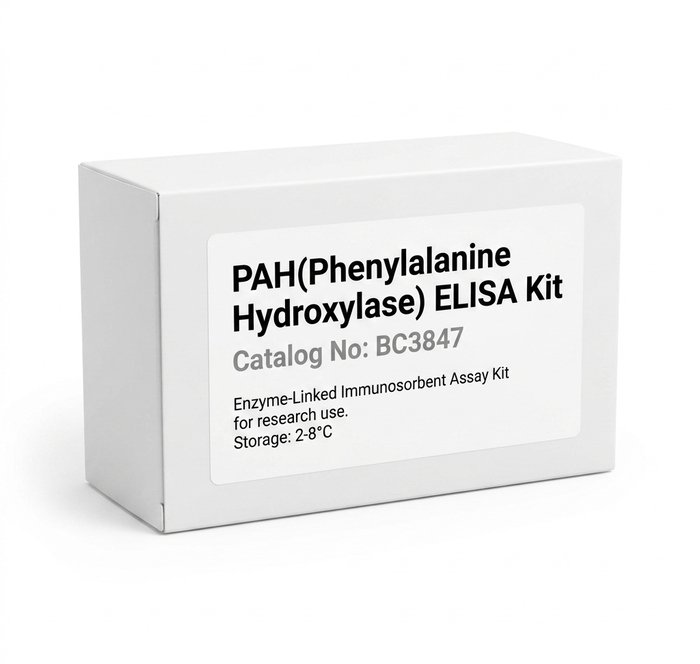 BC3847 PAH Phenylalanine Hydroxylase ELISA Kit 96 Test