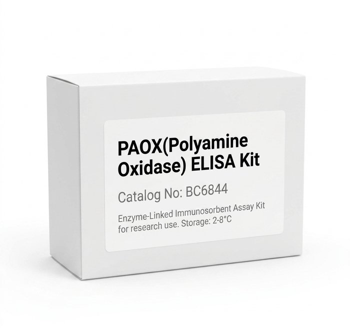Mouse PAOX Polyamine Oxidase ELISA Kit 96 Tests BC6844