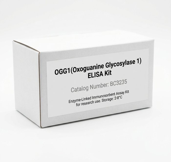 OGG1 ELISA Kit 96 Test - High Sensitivity Assay