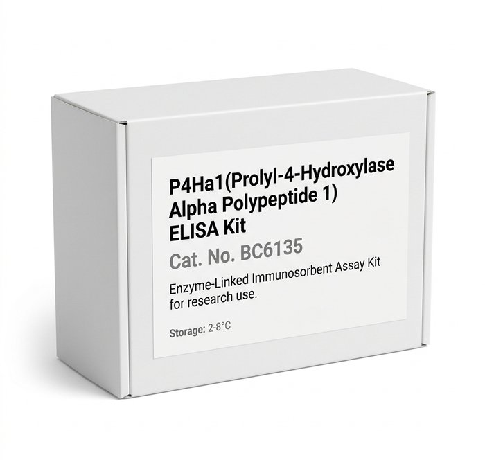 Rat P4Ha1 ELISA Kit 96 Test BC6135