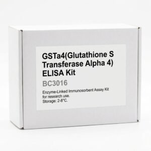 GSTa4 ELISA Kit - Human and Mouse - 96 Test