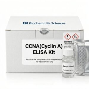 BC5465 Human Cyclin A ELISA Kit 96 Test