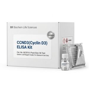 CCND3 ELISA Kit Human 96 Test BC5510