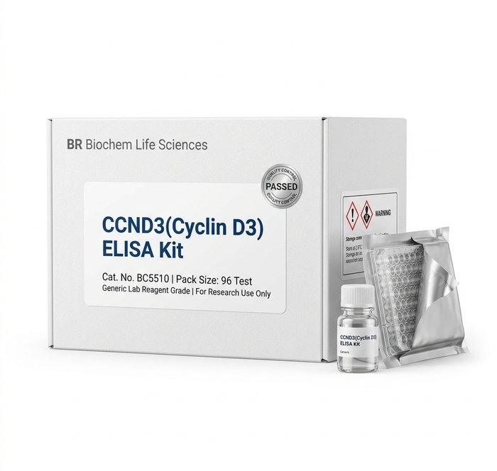 CCND3 ELISA Kit Human 96 Test BC5510