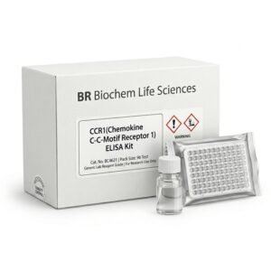CCR1 ELISA Kit BC4621 Human and Mouse Detection
