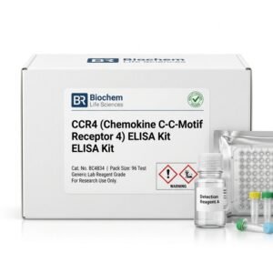 CCR4 Human ELISA Kit 96 Test BC4834