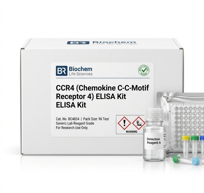CCR4 Human ELISA Kit 96 Test BC4834