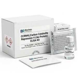 Human CCRN4L ELISA Kit 96 Test BC6607