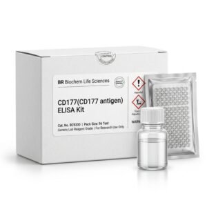 Human CD177 ELISA Kit 96 Tests BC9330