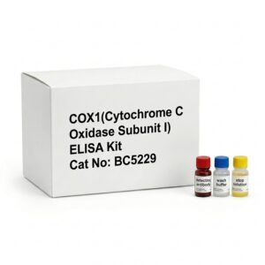 COX1 ELISA Kit BC5229 Human Mouse Plant 96 Test