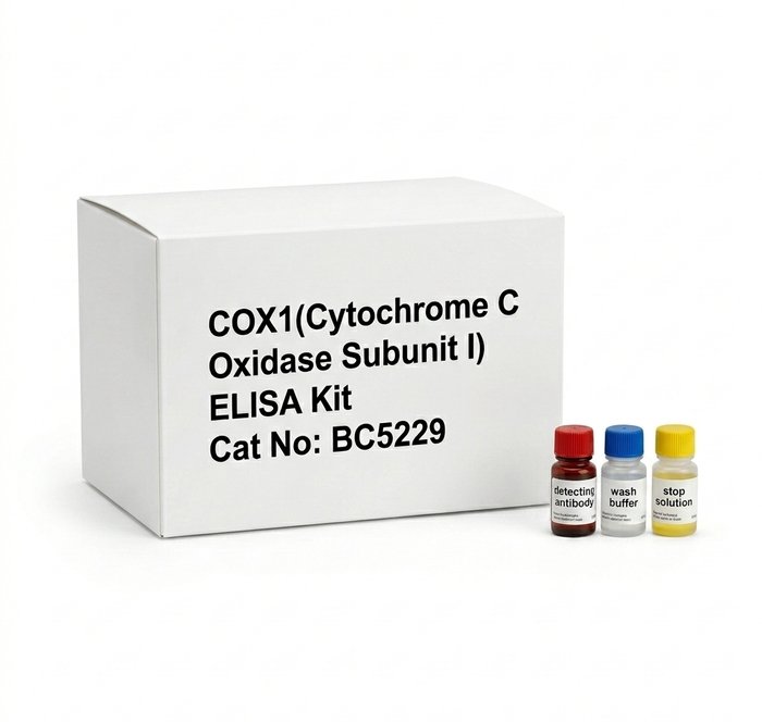 COX1 ELISA Kit BC5229 Human Mouse Plant 96 Test