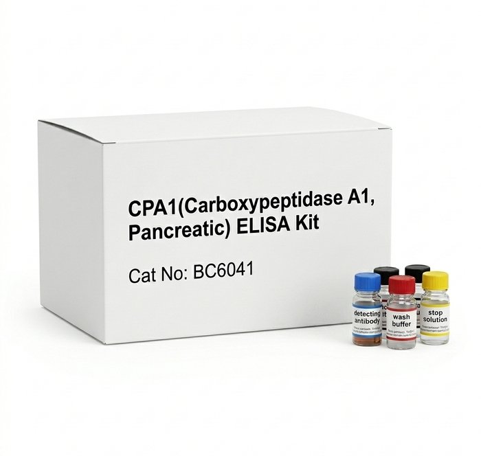 CPA1 Pancreatic ELISA Kit BC6041 Rat and Plant