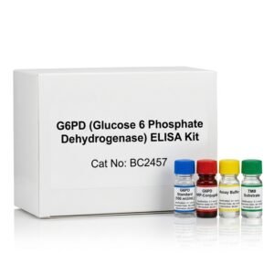G6PD ELISA Kit BC2457 96 Test Human Rat Mouse