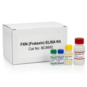 FXN Frataxin ELISA Kit BC9892 96 Test Human Mouse