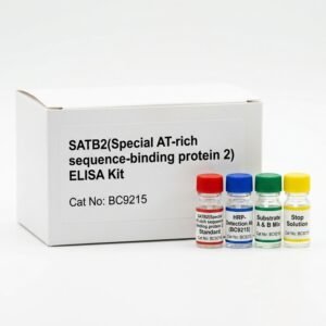 BC9215 SATB2 ELISA Kit for Human and Mouse
