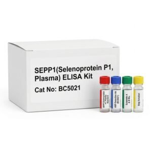 BC5021 SEPP1 ELISA Kit - High Sensitivity Assay