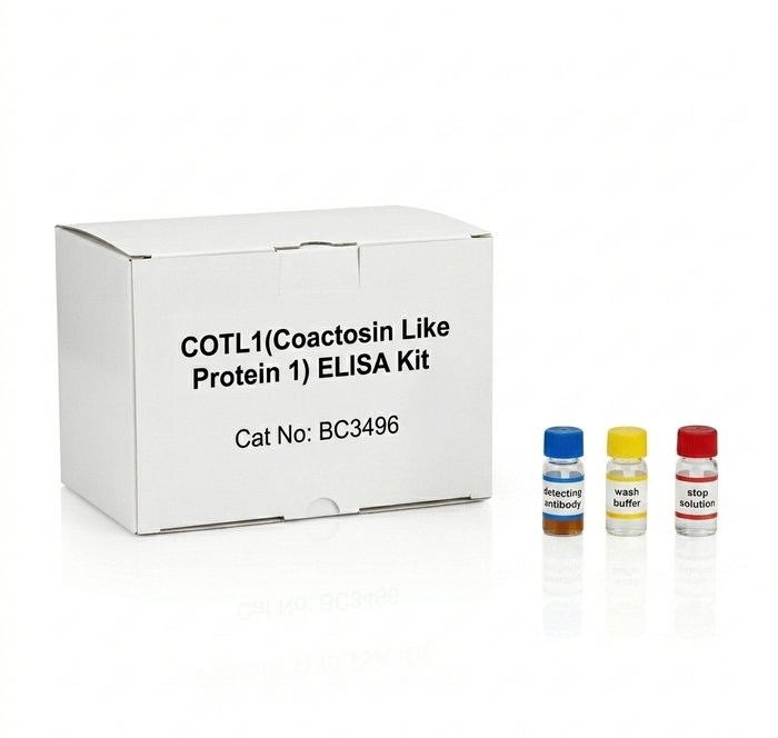COTL1 ELISA Kit 96 Test Human Duck Plant