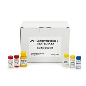 CPB1 ELISA Kit 96 Test for Rat and Mouse Tissue Analysis