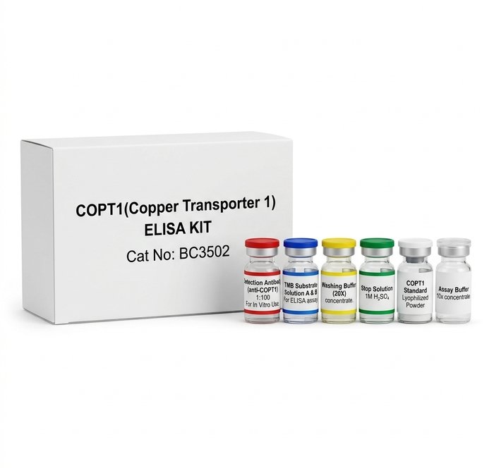 BC3502 COPT1 ELISA Kit 96 Test Human and Plant
