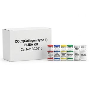 BC2618 Collagen Type II ELISA Kit 96 Tests