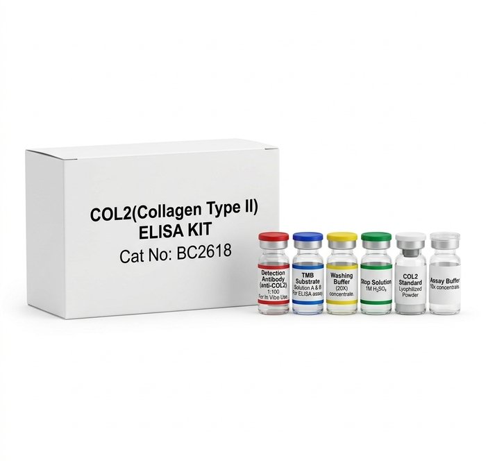 BC2618 Collagen Type II ELISA Kit 96 Tests