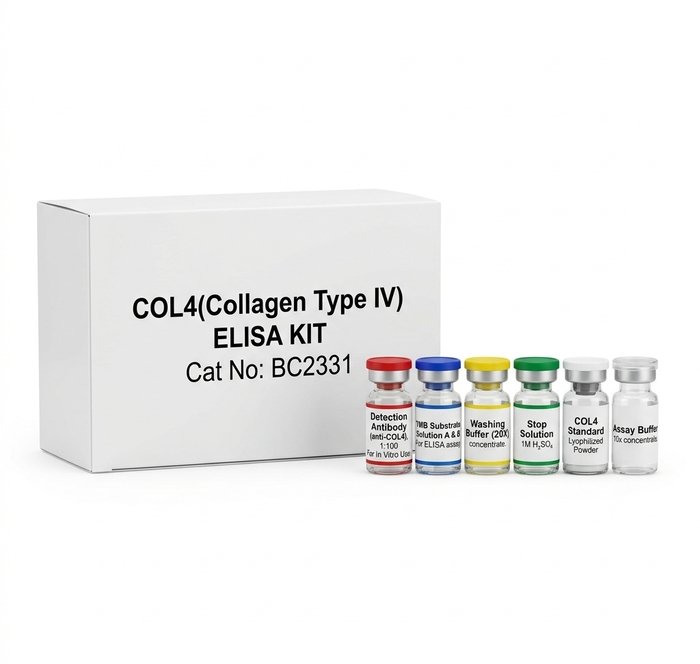 COL4 Collagen Type IV ELISA Kit - 96 Test Assay