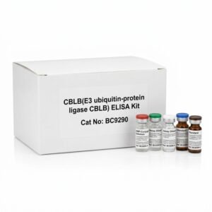 Mouse CBLB ELISA Kit 96 Tests