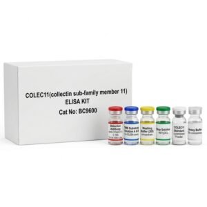 BC9600 COLEC11 ELISA Kit for Human and Mouse