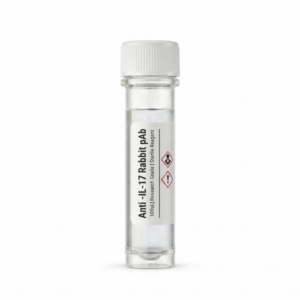 Anti-IL-17 Rabbit Polyclonal Antibody 100ul BC11110-1