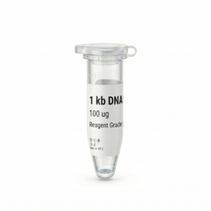 BM1000 1 kb DNA Ladder - Accurate Molecular Weight Marker