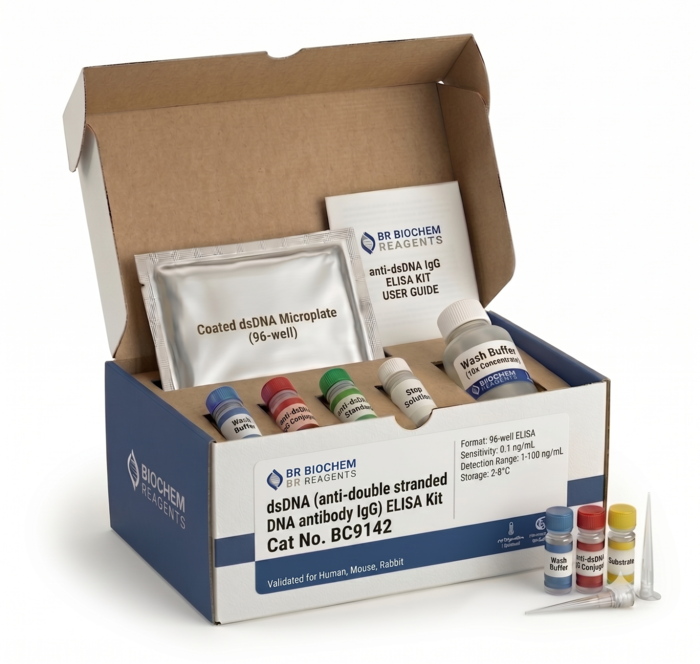 BC9142 anti-dsDNA IgG ELISA Kit 96 Tests