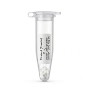 RNase A 25 mg Molecular Biology Grade Enzyme