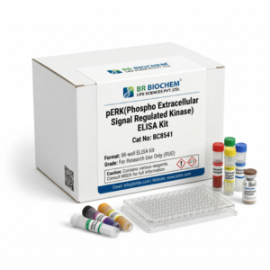 pERK ELISA Kit BC8541 Human Rat 96 Test