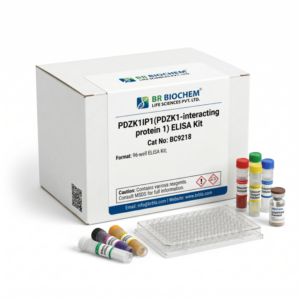 Mouse PDZK1IP1 ELISA Kit 96 Tests BC9218
