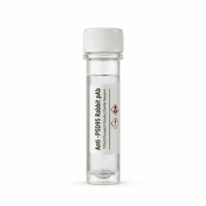 Anti-PSD95 Rabbit Polyclonal Antibody 100ul BC11277