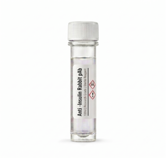 Anti-Insulin Rabbit Polyclonal Antibody BC11334 100ul